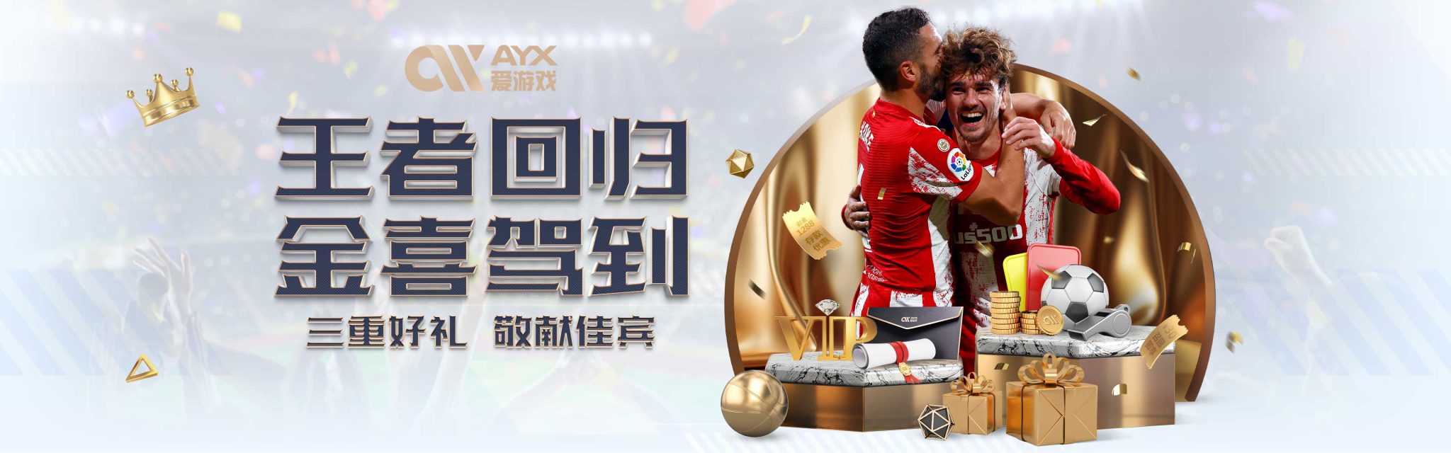 大对鹈鹕核